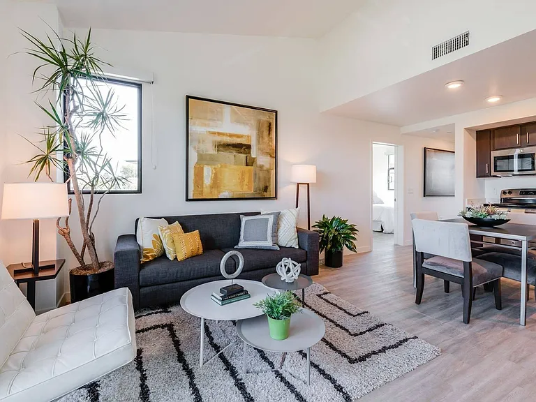 Living + Dining Area