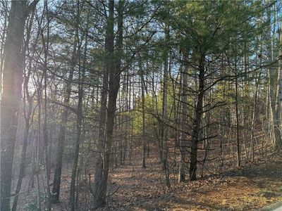 3404 Wildcat Trl #3404, Jasper, GA, 30143