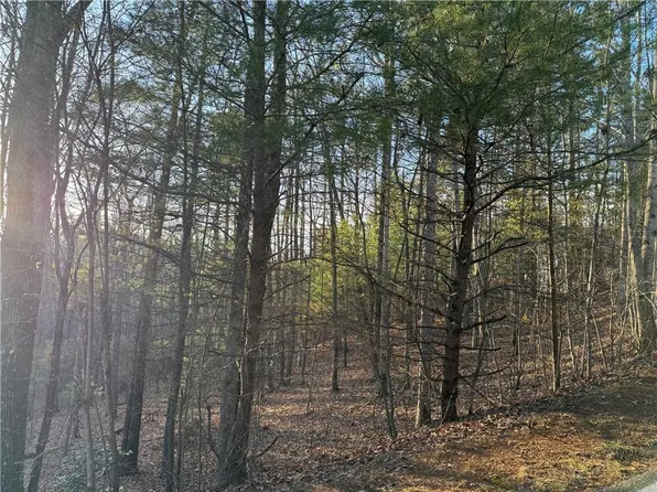 3404 Wildcat Trl #3404, Jasper, GA 30143