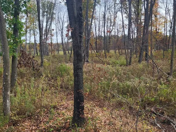 W7943 Moonlite Road, Neillsville, WI 54456