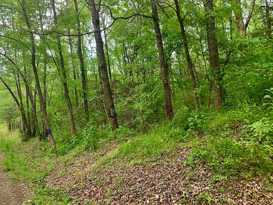 2nd image of 385 Burns Rd