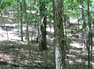 0 Eagle Ridge Rd LOT 36, Protem, MO 65733