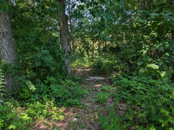1389 W Long Lake Rd, Orleans, MI 48865