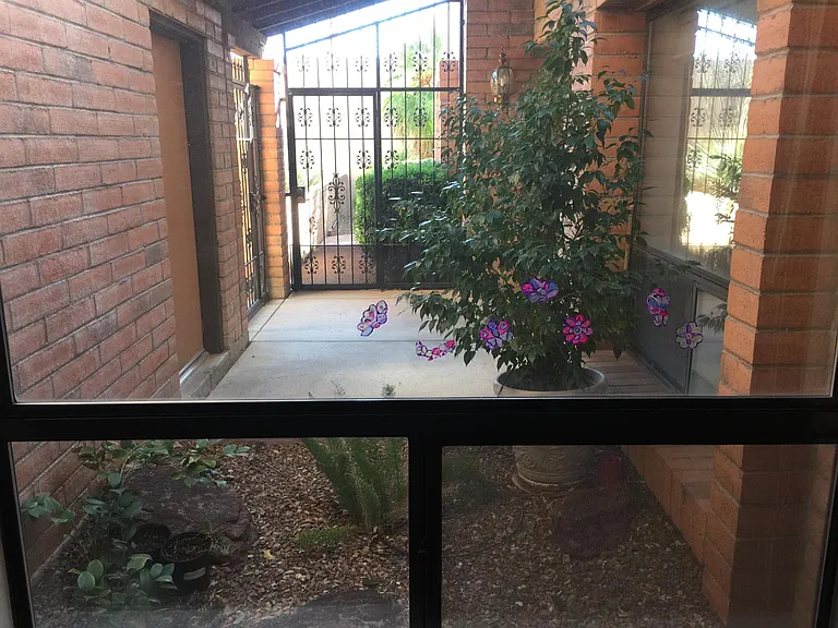 5409 N Via Sempreverde — Photo 3
