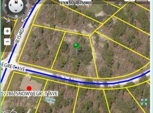 12311 Snowy Egret Ave, Weeki Wachee, FL 34614