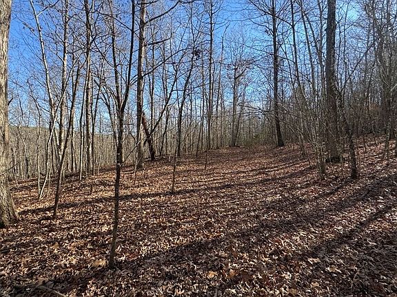 4th image of 2 Plumlee Rd