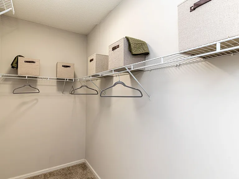 Walk-in closet with built in shelving