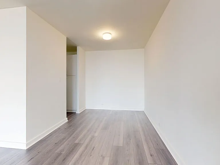 Dining/Living room