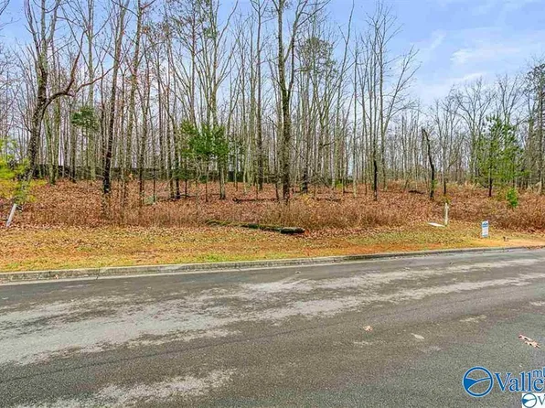 13 Winter Walk Way, Huntsville, AL 35803