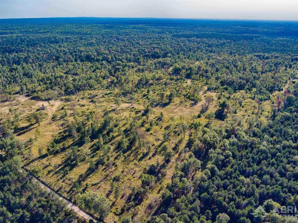 0 N Dow Rd, West Branch, MI 48661