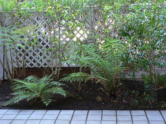 One of the patio