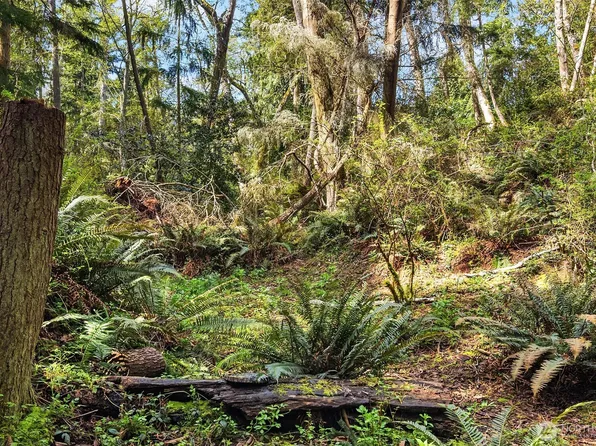 8042 Island Court, Clinton, WA 98236