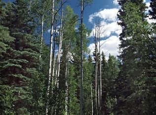 12001 Gypsum Creek Rd, Gypsum, CO 81637