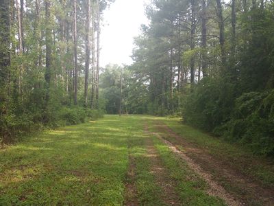 26438 Oliver Wheat Rd, Livingston, LA, 70754