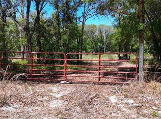 34281 Umbrella Rock Dr Lot 17, Webster, FL 33597