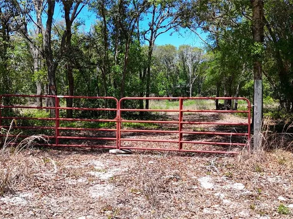 34281 Umbrella Rock Dr Lot 17, Webster, FL 33597