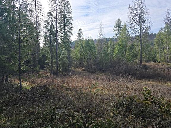 3rd image of LOT 3 Eleven Larkspur Way