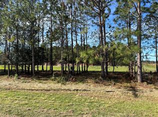 17609 Bledsoe Loop #7, Lithia, FL 33547