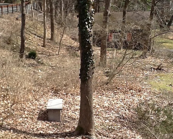614 Wyckoff Rd #2 — Photo 23
