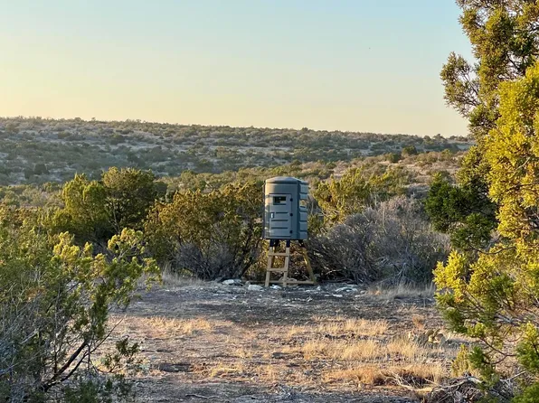 0 McQueen Rd #66, Comstock, TX 78837