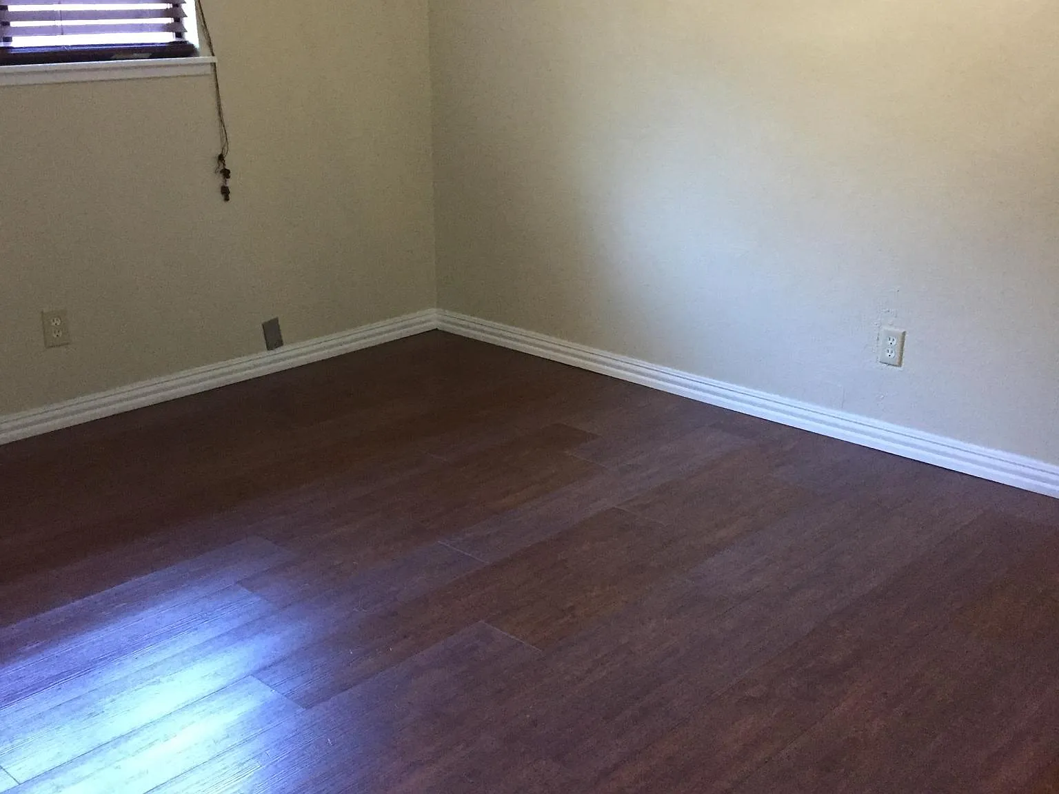 2534 Norway Dr — Photo 4