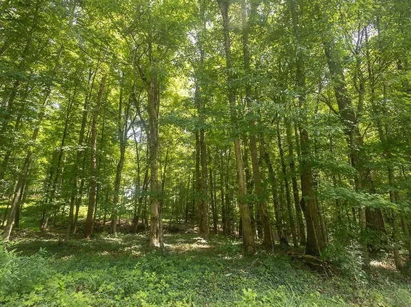 LOT 10 County Road 5, Calhoun, TN 37309