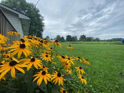 9198 Jug St NW, Pataskala, OH, 43062