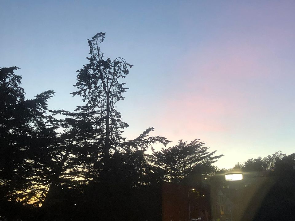 View from the bedroom
