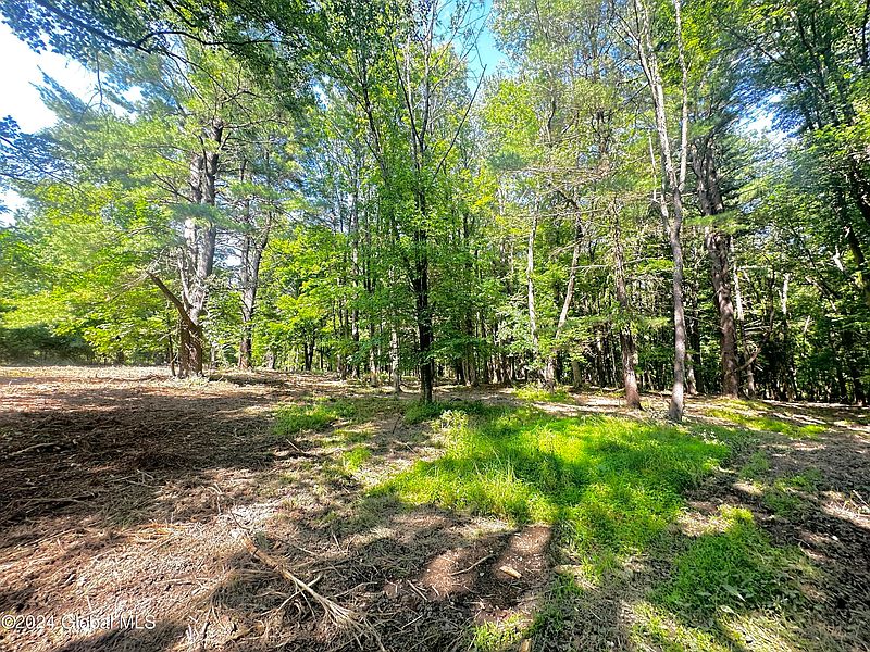 5th image of L1.1 Morey Park Road
