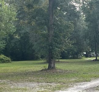 0 Grape SW, Fort White, FL, 32038