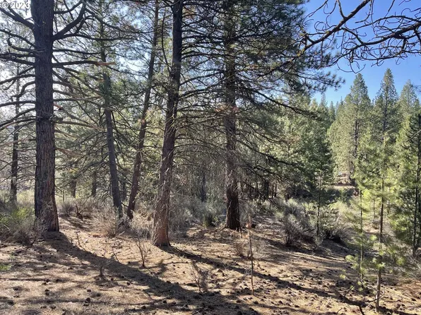 1000 Brook Trout Ln, Chiloquin, OR 97624