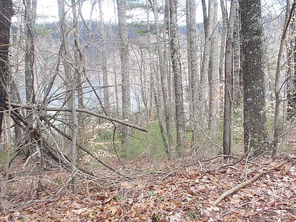Wooded lot, Mtn. Views 