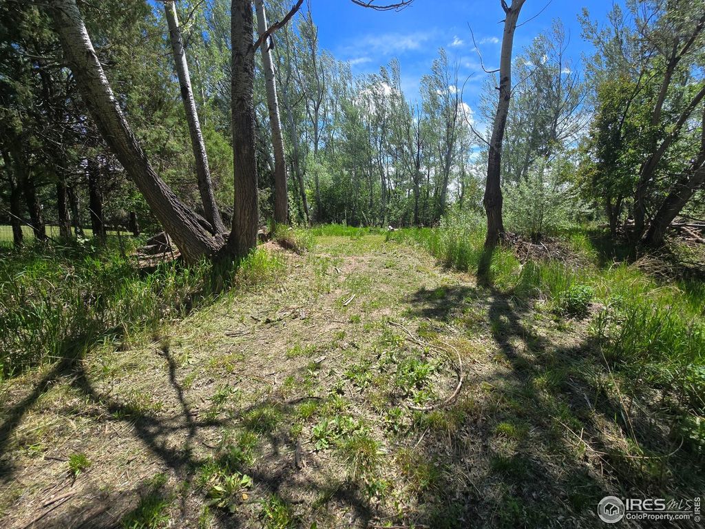 2001 W Prospect Rd
