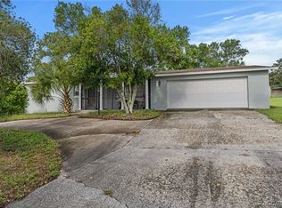 106 S Lucille St, Beverly Hills, FL 34465