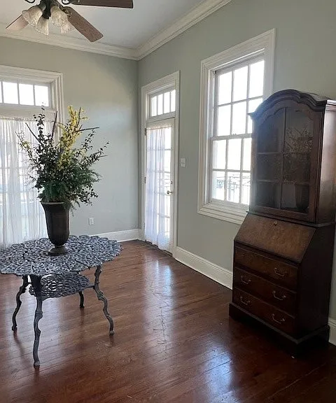 737 Dauphine St #737 — Photo 18
