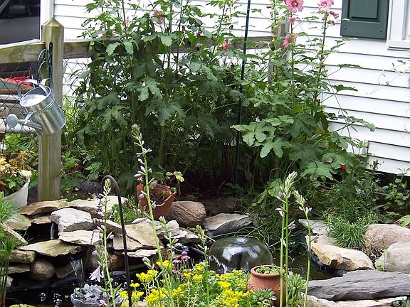 Back of house with pond