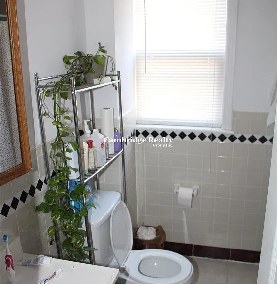 11 Ransom Rd #1T — Photo 2