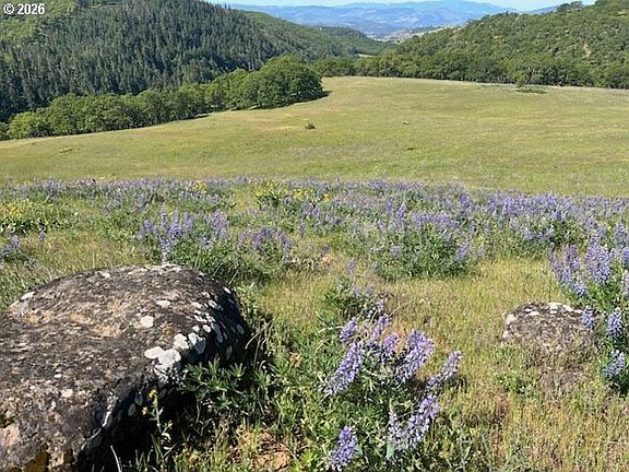 3rd image of 60 Hartwig Rd