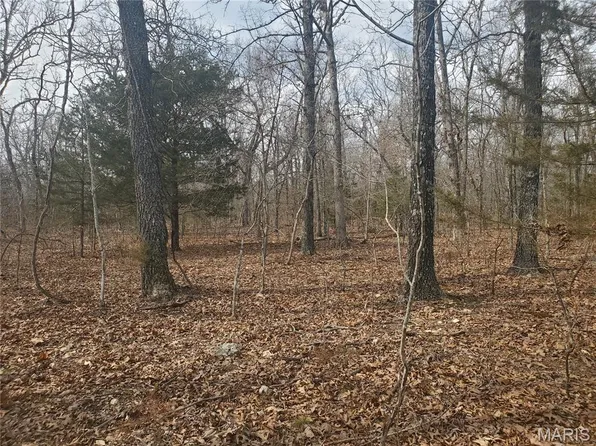 0 Highway 17 S, Laquey, MO 65534