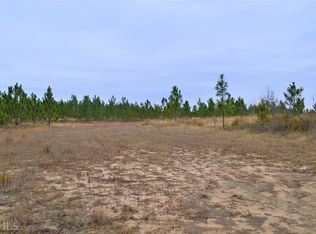 0 Ragtown Rd, Richland, GA 31825