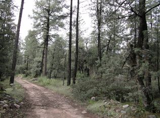 202 S Freds Rd, Young, AZ 85554