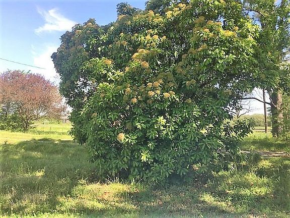 4th image of 11554 County Road 2316