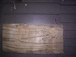 5th image of 11903 Greenglen Dr