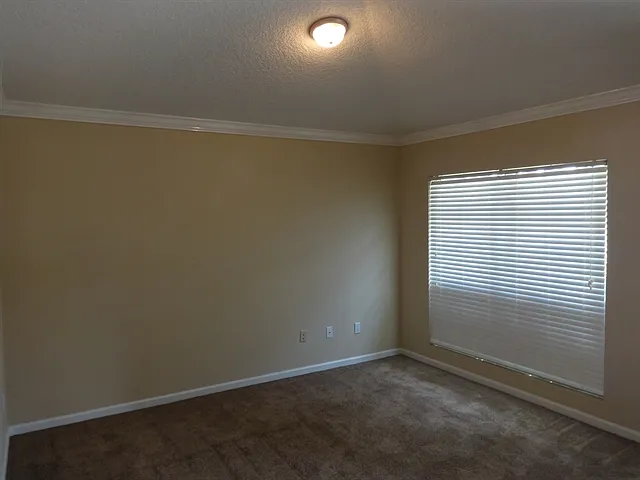 13958 Wild Hammock Trl — Photo 5