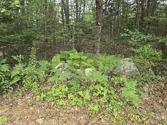 5th image of 74 Old Sheepscot Road