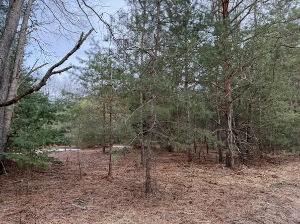 Pihl Rd, Kaleva, MI 49645