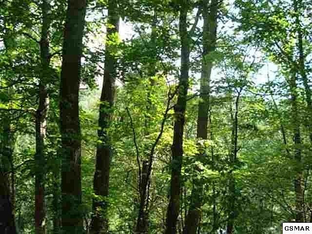 1st image of 643 Rhododendron Ln Lot 643