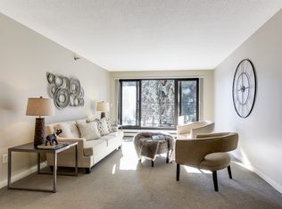 48 Groveland Minneapolis Mn 55403 #312, Minneapolis, MN 55403