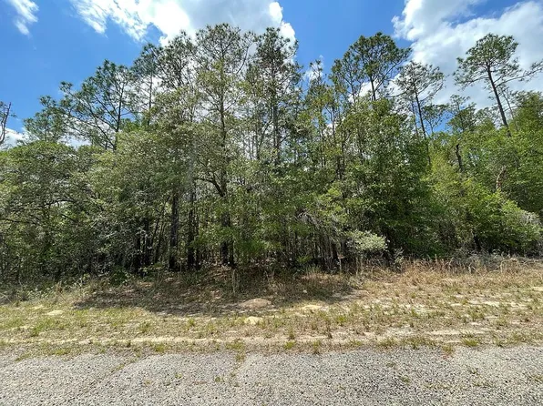 8628 N Bambury Ter, Citrus Springs, FL 34434