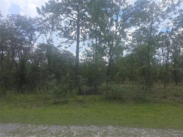 LOT 3 SE 129th Ct Lot 3, Dunnellon, FL 34431